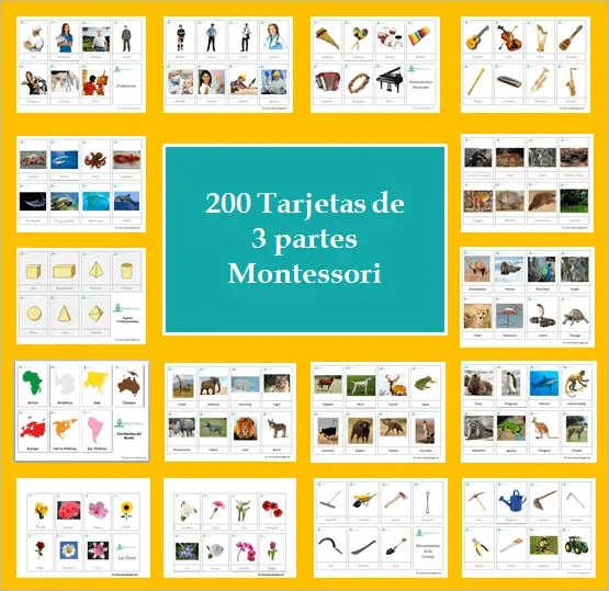 Paquete de 200 tarjetas de 3 partes Montessori