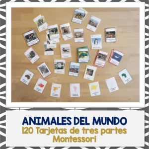 Animales del mundo - Tarjetas Montessori