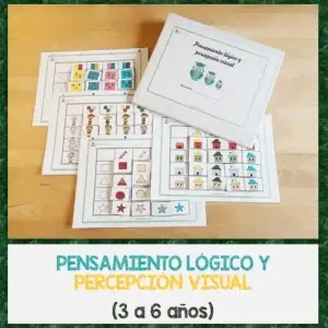 Carpeta de pensamiento lógico y perceptión visual